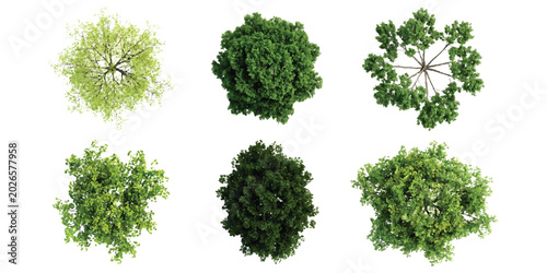 Set of six different green trees viewed from above for architectural landscape design plans