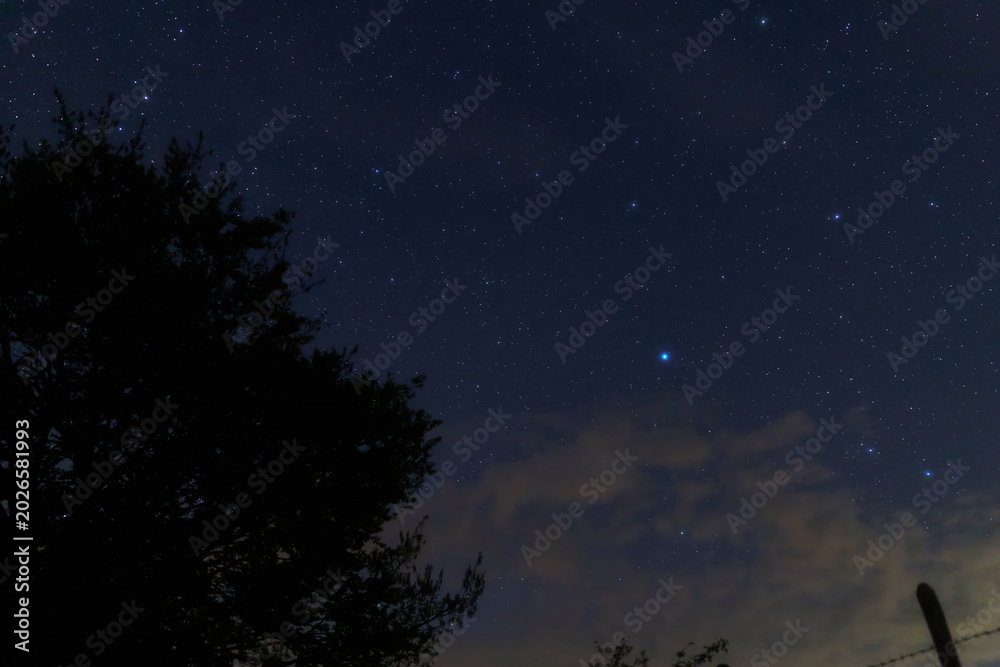 Fototapeta premium Constellations, landscape, Milky Way stars on a dark countryside skies.