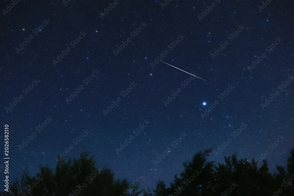 Fototapeta premium Constellations, landscape, Milky Way stars on a dark countryside skies.