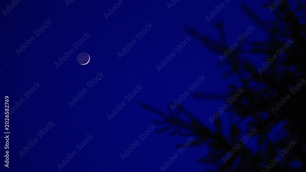 Fototapeta premium Blue hour time with crescent Moon, stars and planets above landscape silhouettes.
