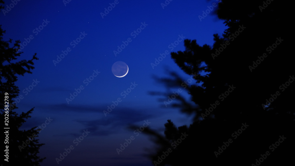 Fototapeta premium Blue hour time with crescent Moon, stars and planets above landscape silhouettes.