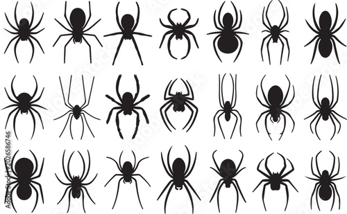 Photos Silhouettes of a black predatory spiders