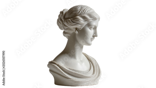 Schilderij op canvas Classical marble bust of a woman with elegant hairstyle, isolated on transparent