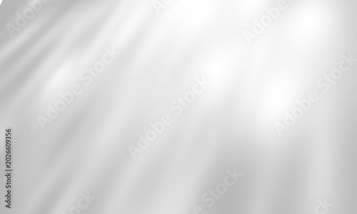 dappled leaves shadow overlay isolated on transparent background gobo effect of twig with soft and bokeh diffused silhouette.