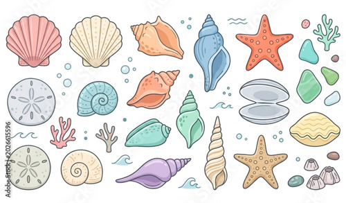 Obraz na płótnie Seashell vector set with coastal ocean shell illustrations isolated on white bac