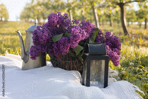Romantic Lilac Flower Composition with Vintage Teapot and Candle Lantern in Blooming Apple Garden

