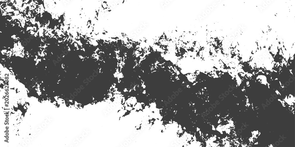 Fototapeta premium Black and White Grunge Vector Texture with Distressed Paint Splatter and Rough Edges