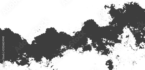 Tableau sur toile Abstract Grunge Ink Brush Stroke Texture with Distressed Black Splatter on White