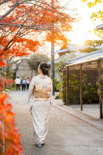 Maple leaves turning red in the autumn season in Kyoto. Back view a woman wearing Japanese traditional kimono walking on Philosopher's Path ( Tetsugaku No Michi ). Fall foliage in Japan.