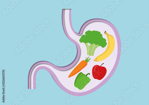 Healthy food digestion, conceptual illustration