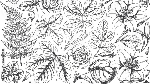 Hand-drawn botanical of roses, lilies, and fern leaves