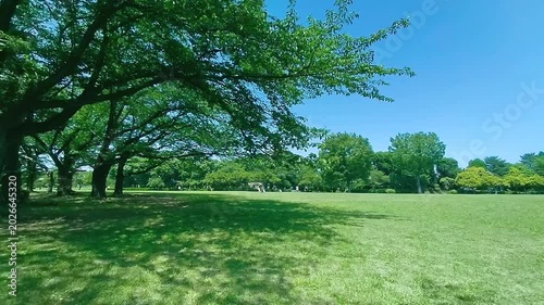 緑の公園