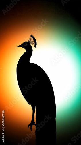 silhouette of a peacock 
