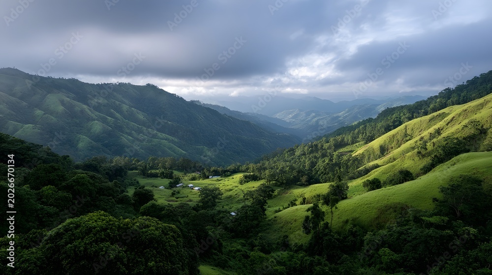 Fototapeta premium A vast expanse of lush rolling green hills covered in dense foliage under a dramatic overcast sky