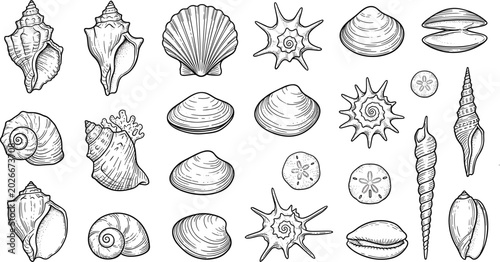 Tableau sur toile Vintage Black and White Seashell Engraving Vector Icon Set with Sand Dollars, St