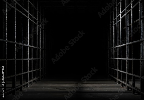 Heavy metal bars cast deep shadows in a confined, oppressive space, suggesting entrapment and foreboding secrecy ,distress ,foreboding ,cold