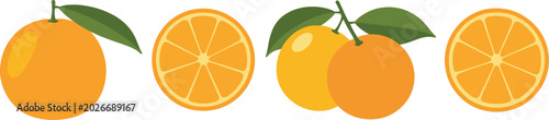 Set of Oranges and Orange Slices with Leaves on White Background fruit citrus