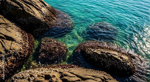 Sunlit Rocky Shoreline with Clear Turquoise Water and Barnacle Covered Coastal Stones