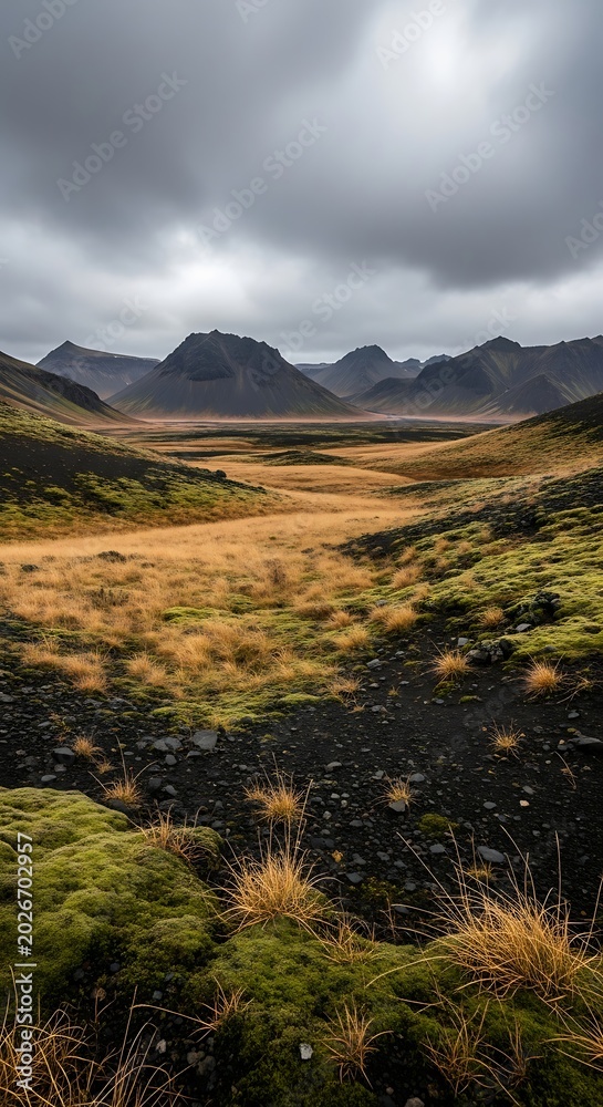 Obraz premium Vast Tundra Landscape with Rolling Hills and Dramatic Cloudy Sky in Autumn