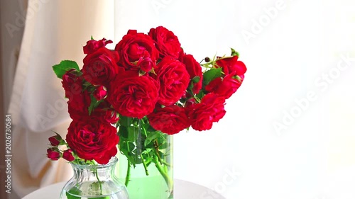 リビングの窓際に飾る真っ赤な薔薇