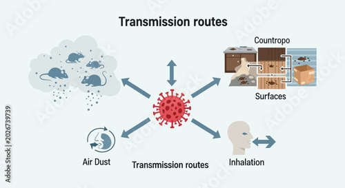 Konstfotografi Hantavirus Transmission Routes Infographic Explainer