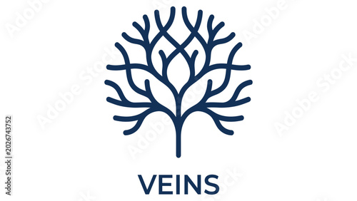 Photos Veins branch out in this biological illustration showing the human circulatory system structure