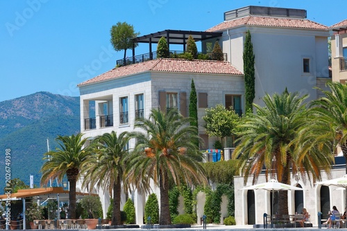 Luxury Mediterranean resort with palm trees and mountain backdrop: Tivat, Montenegro