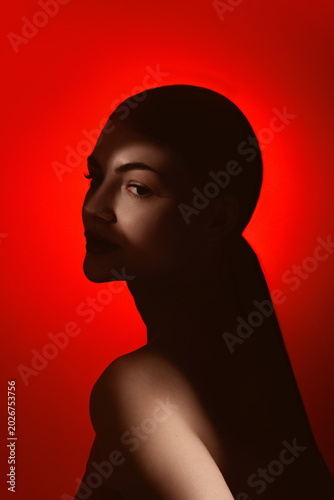 Quadro su tela Side beauty portrait of serene woman in dark silhouette on red background