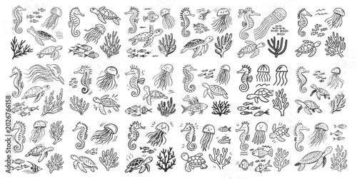 Fotografía Hand Drawn Underwater Sea Life Doodles Featuring Turtles Jellyfish and Corals