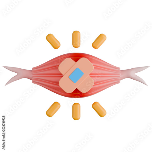 Muscle Injury cause Pain and Inflammation Treated Bandage. 3D Illustration.