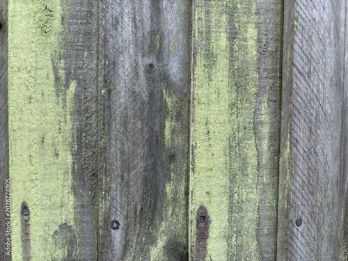 Weathered wooden fence with patches of green moss, showing texture and decay.