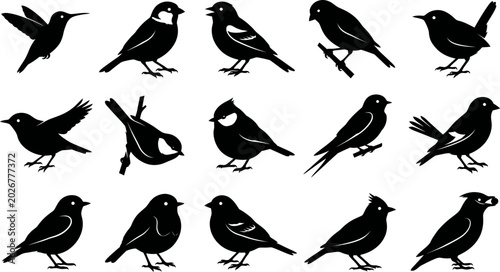 Fényképezés Black silhouette of various bird species in different poses on white background