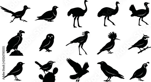 Tablou pe pânză Collection of various bird silhouettes on white background for design elements