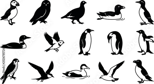 Bild auf Leinwand Collection of various seabird silhouettes in different poses and flying  sea bir