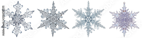 Fotografía Four detailed macro photographs of unique snowflakes isolated on a transparent b