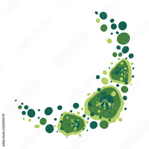 Green mold frame and mildew growth pattern in damp building. Fungal spores medical vector illustration.