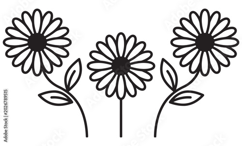 Three simple daisy flowers with stems and leaves in a flat black line art illustration style