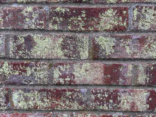 Weathered red brick wall with patches of green moss and lichen, showing texture and age.