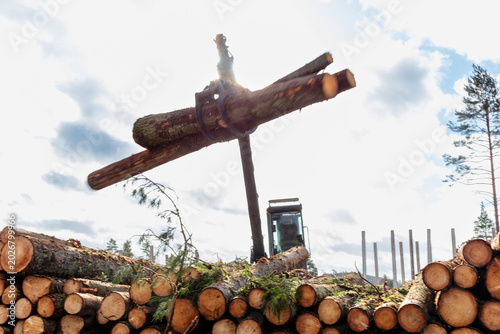 Low angle view of feller buncher picking up logs against sky