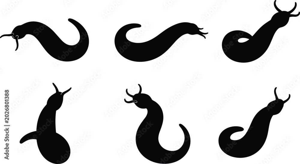 Fototapeta premium Leech insect silhouette vector collection featuring various crawling bloodsucker worm shapes isolated on transparent background