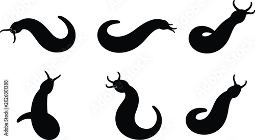 Leech insect silhouette vector collection featuring various crawling bloodsucker worm shapes isolated on transparent background