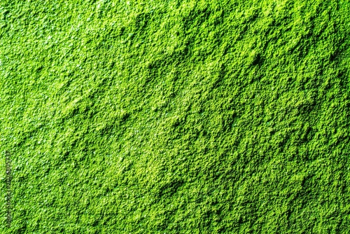 A vibrant green textured surface with a natural and serene appearance