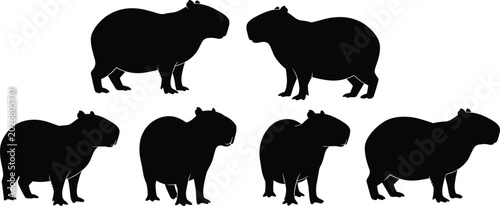Capybara silhouettes set vector illustration of large wild rodents in different poses isolated on a transparent background