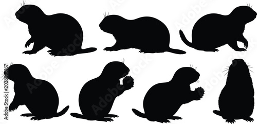 Photos Prairie dog silhouettes set vector illustration of wild rodents in various poses