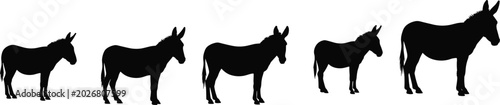 Fotografía Domestic donkey farm livestock black silhouette vector pack with standing animal