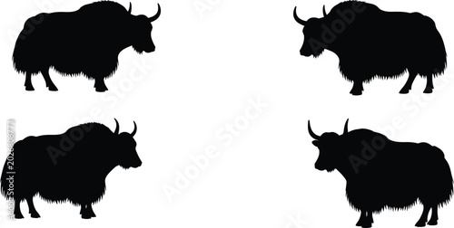Foto Tibetan yak wild ox black silhouette vector set with various shaggy horned cattl