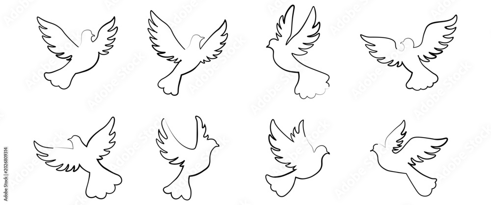 Obraz premium Set of flying dove outline in different poses perfect for Pentecost church logos baptism invitations religious crafts and spiritual design projects