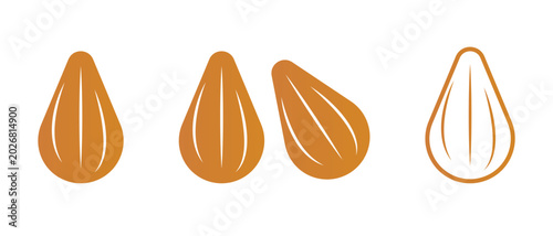 Almond icon, Almond nut vector, almond vector illustration of an abstract background