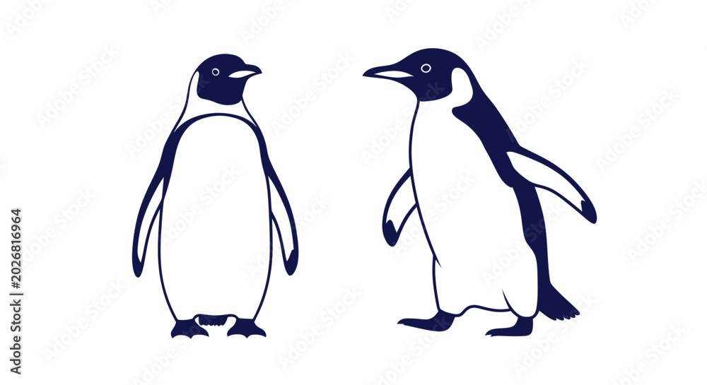 Fototapeta premium Two Emperor Penguins Standing Together Isolated on White Background