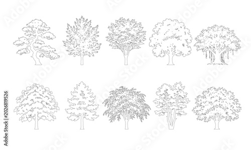 Fotografía CAD line art broadleaf and maple tree elevation set, outline deciduous tree symbols with detailed foliage for architectural drawings and landscape design plans